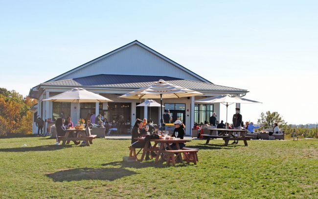 windridge vineyards